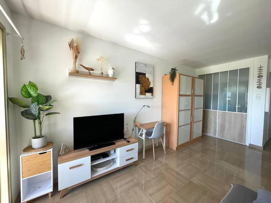 Studio Port Marina - Parking Prive, Climatise Au Ducal Villeneuve-Loubet Esterno foto